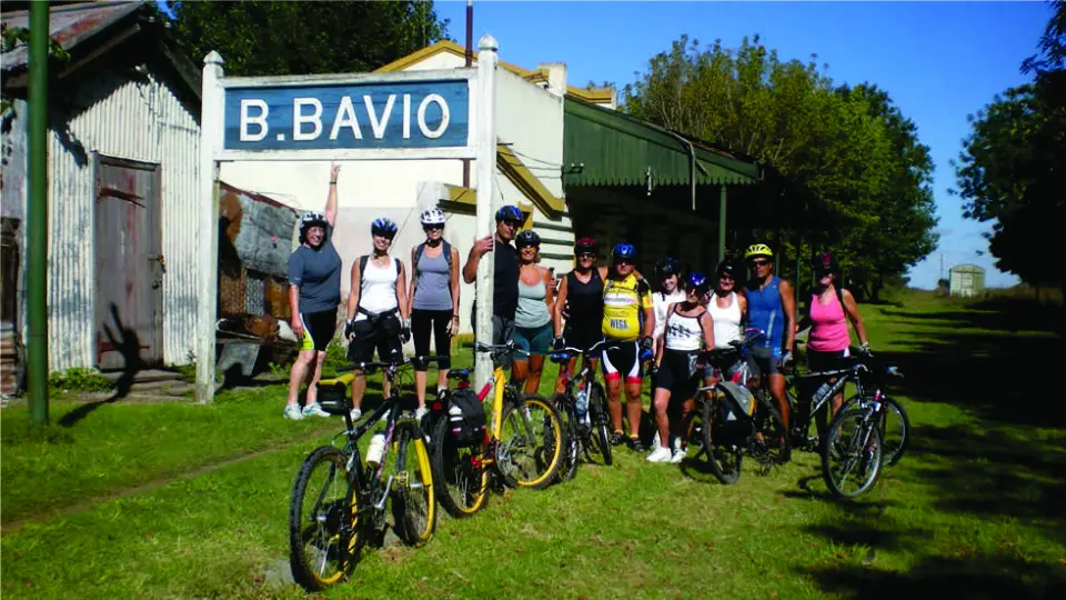 Actividades Bavio