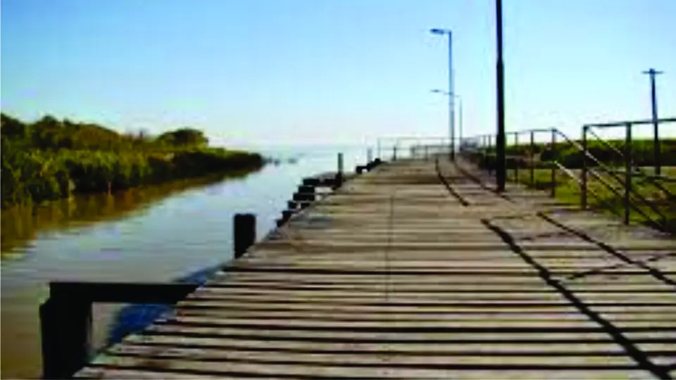 Pesca